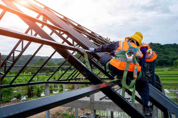Best Roof Replacement Cost  in Falcon Heights, MN