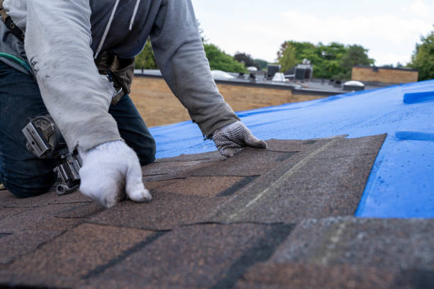 Best Roof Gutter Cleaning  in Falcon Heights, MN