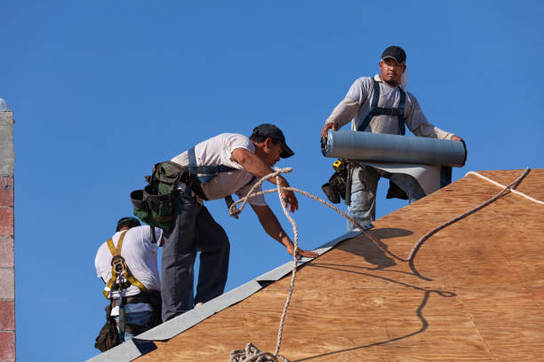 Best Roof Leak Repair  in Falcon Heights, MN