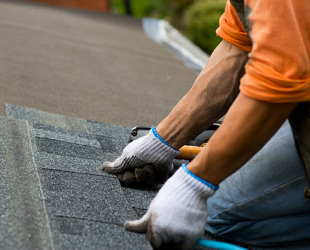 Roof Gutter Cleaning in Falcon Heights, MN